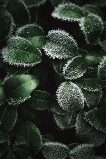 徐艺洋站姐